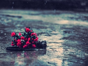 Canon, Camera, photographic, Red, Rain, roses