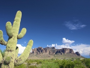 Sky, canyon, Cactus
