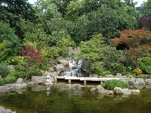 Pond - car, Garden