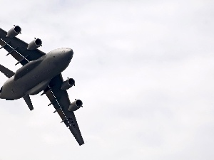 carrying, C-130 Hercules, plane
