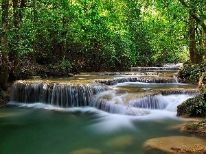 River, cascade, forest