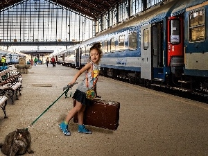 Leash, case, cat, Trains, bench, platform, girl