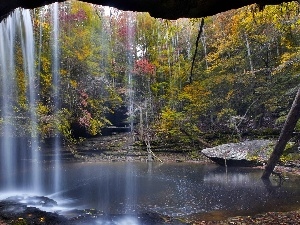waterfall, cave, forest