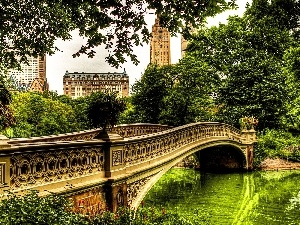 bridge, Central Park