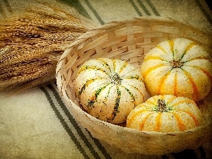 cereals, Ears, basket, pumpkin