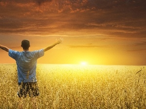 cereals, clouds, west, a man, sun