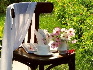 Chair, Book, Flowers, Garden, Cosmos