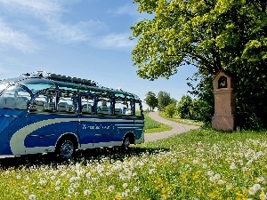 chapel, Meadow, bus, Way