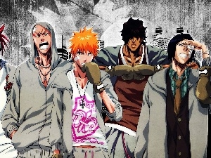 Characters, bleach