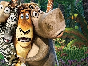 Characters, Madagaskar, movie, Animated