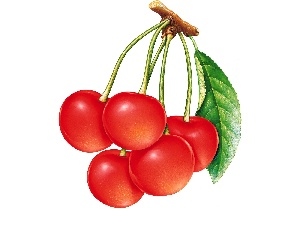 cherries, leaf