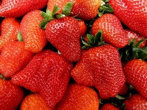 Strawberries cherries, robust