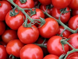 cherry, tomatoes