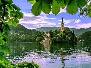chestnut, lake, Bled, Church