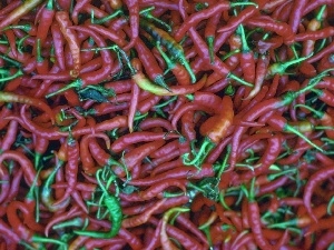 Chilies, Chili, color