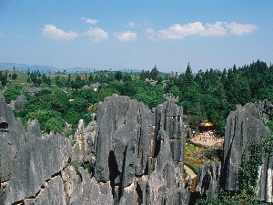 forest, China, stone