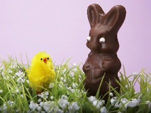 rabbit, chocolate, chicken