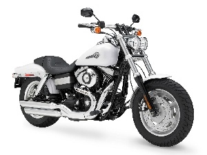 Chopper, Harley Davidson Fat Bob, White