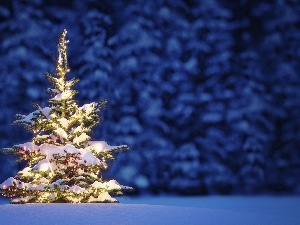 christmas, snow, christmas tree, light