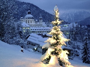 christmas tree, illuminated, winter, Town