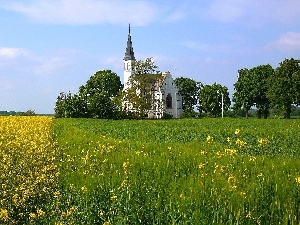 rape, Church, Field