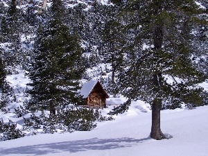 church, wooden, winter, forest