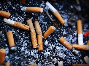 cigarette, butts