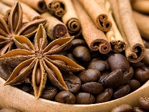 cinnamon, spice, grains, anise, coffee