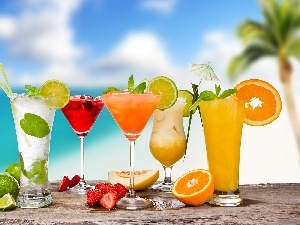 drinks, citrus, color