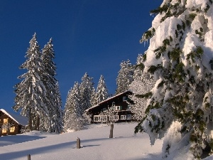 clean, Snowy, Conifers, winter, Sky, Houses