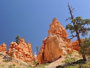 clean, Softwood, rocks, Sky, trees