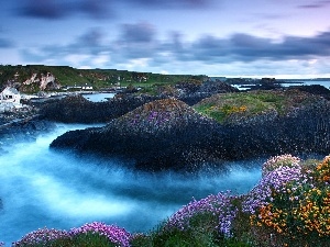 Coast, Cliffs, sea