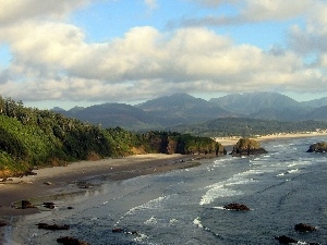 Cliffs, woods, Wild, sea, Beaches