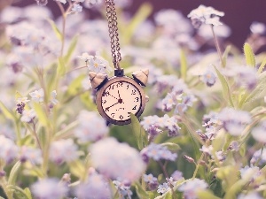 Flowers, Clock, purple