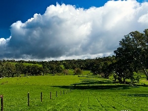 clouds, White, fence, pastures