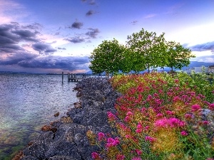 Flowers, clouds, sea