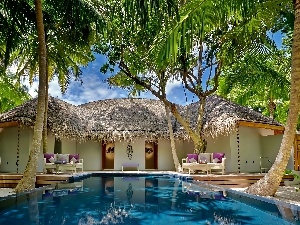 clouds, Palms, Home, Pool