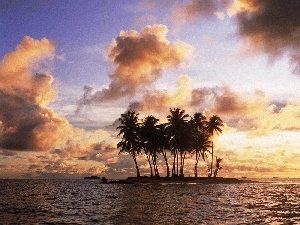 Island, clouds, Palms