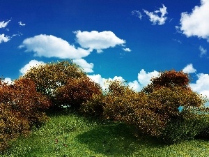 Meadow, clouds, Bush