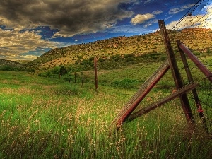 Meadow, clouds, grass