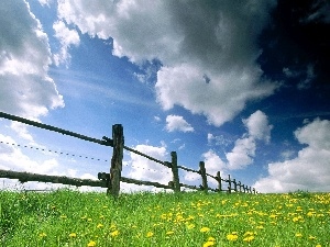 clouds, Hurdle, Meadow, Flowers