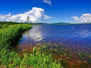 Meadow, clouds, lake