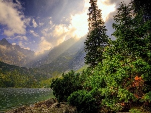 clouds, forest, Mountains, River