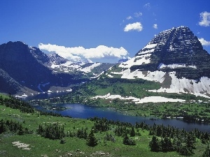 clouds, Spruces, Mountains, River