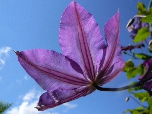 clouds, Sky, Violet, traveller