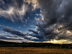 Sky, clouds, Field