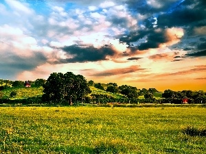 Clouds, viewes, Meadow, Sky, trees