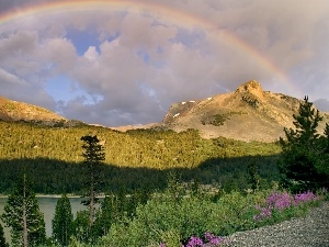 trees, clouds, water, Mountains, viewes, Great Rainbows