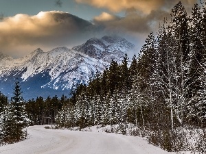 clouds, Way, Mountains, winter, woods