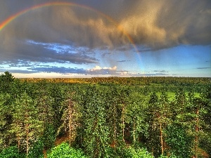 clouds, Great Rainbows, woods, medows